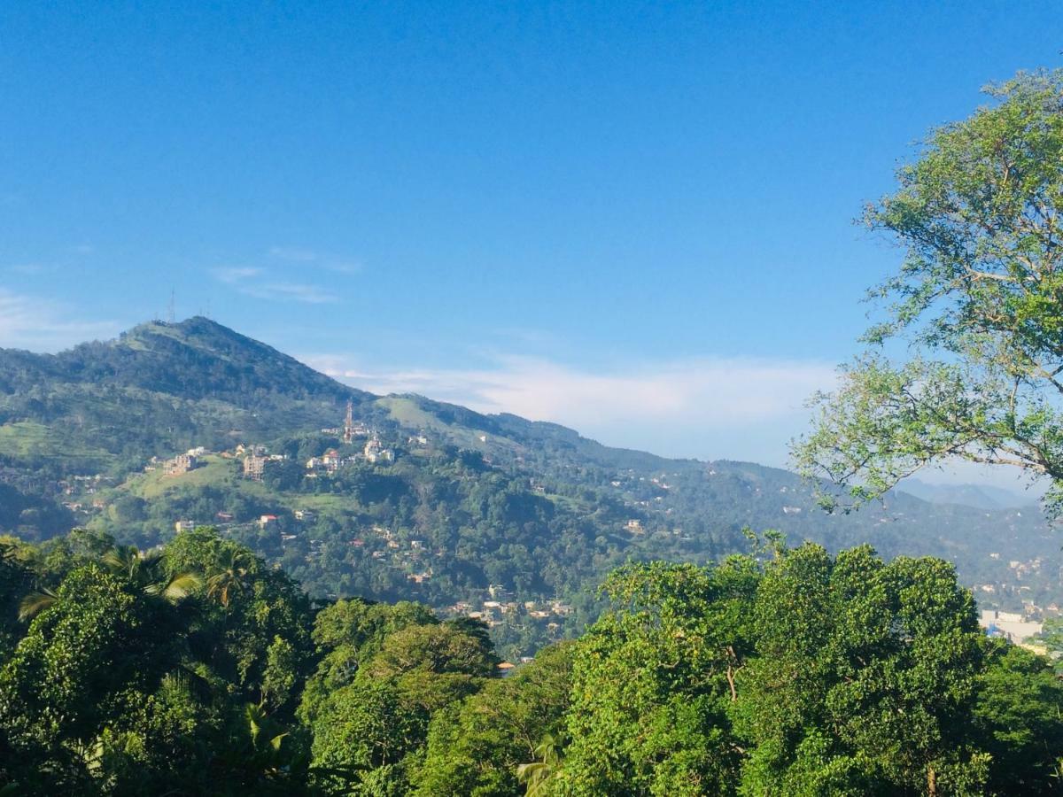 Selyna Sky Terrace Bed & Breakfast Kandy Luaran gambar