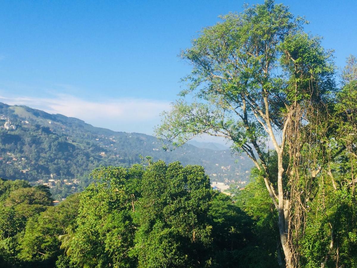 Selyna Sky Terrace Bed & Breakfast Kandy Luaran gambar