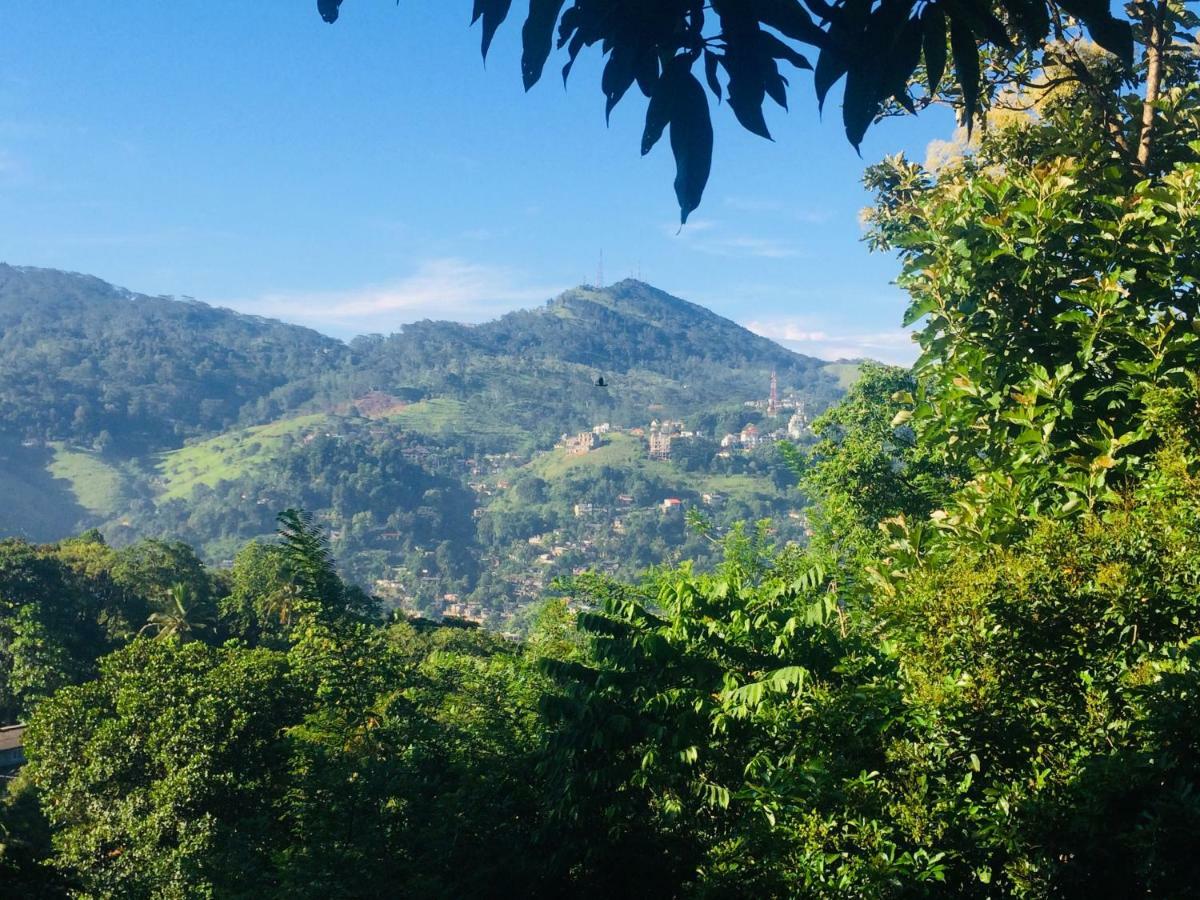Selyna Sky Terrace Bed & Breakfast Kandy Luaran gambar